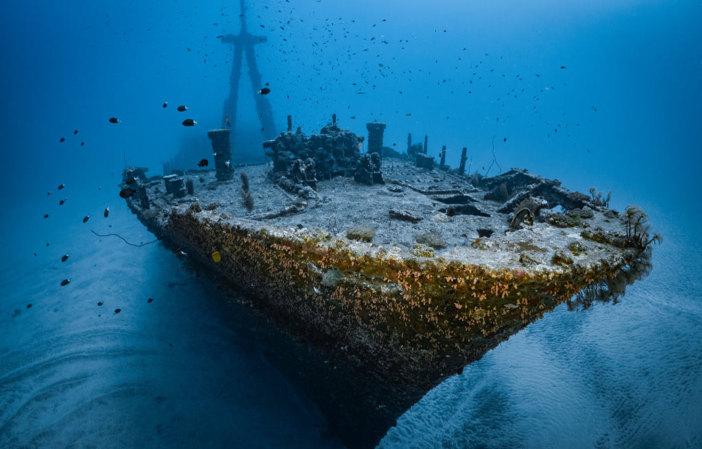 Spot de l'Hai-Siang | Sites de plongée Réunion