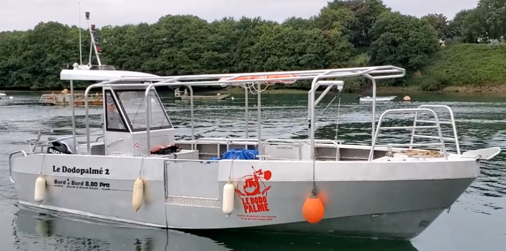 Dodo Palmé 2 | Plongée Réunion